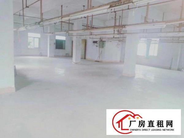  茶山横江独栋小厂房，合适做制衣玩具。