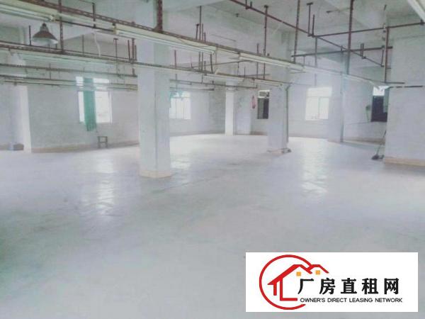  茶山横江独栋小厂房，合适做制衣玩具。