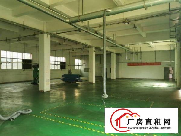  卢边原房东小独院厂房出租5000平方交通方便易招工