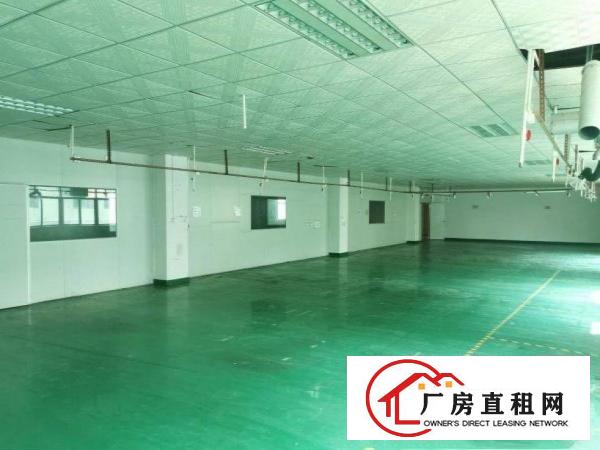  卢边原房东小独院厂房出租5000平方交通方便易招工
