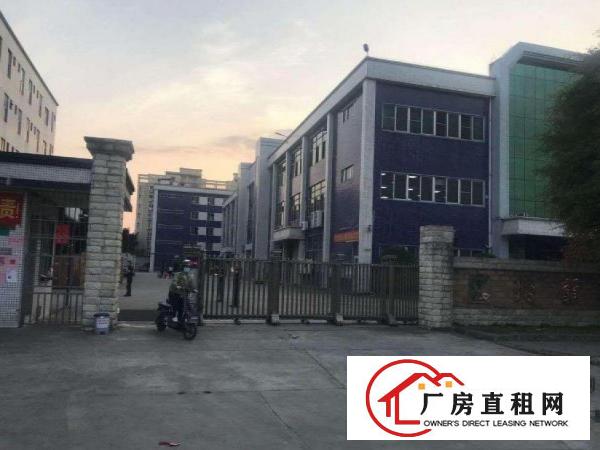  下朗神田路楼上1300带豪华精装修