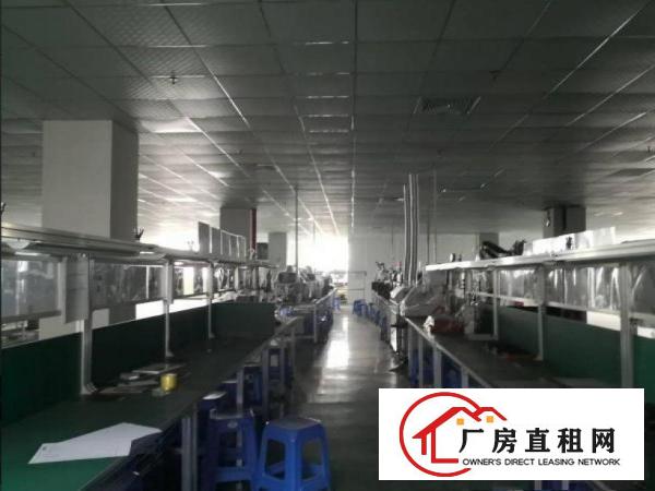  京山新出二楼厂房1250平方，洁净车间，水电齐全