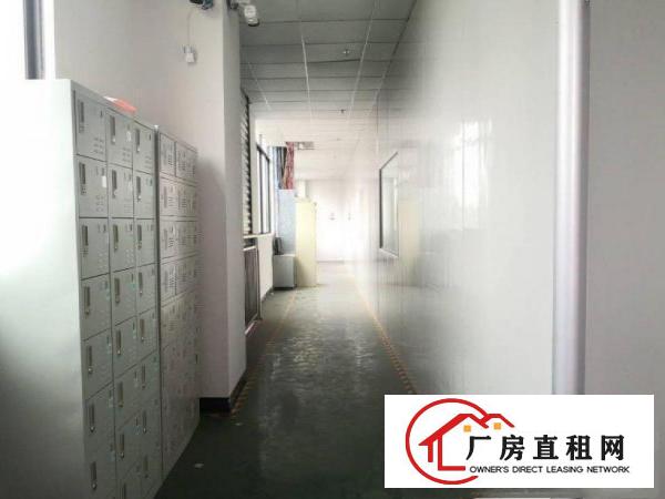  京山新出二楼厂房1250平方，洁净车间，水电齐全