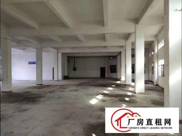  博头标准一楼1100平方租金20电150