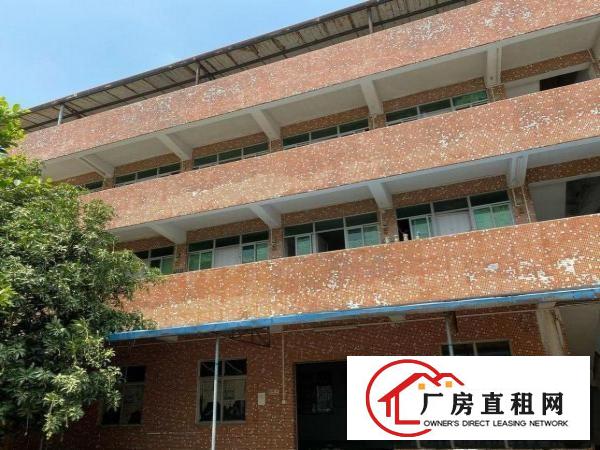  茶山增埗厂房出租，价格面议