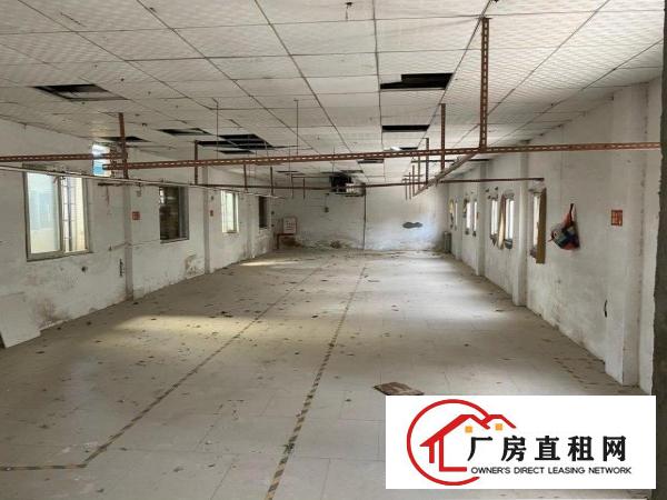  茶山增埗厂房出租，价格面议