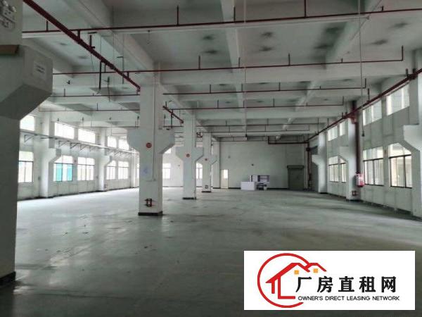  原房东一楼1000方带装修厂房出租价格便宜面积实量