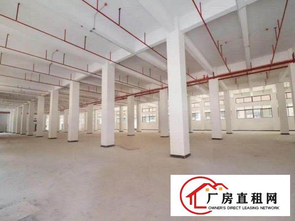  一手房东独院每层3500平米带地坪漆实际面积2部3吨电梯