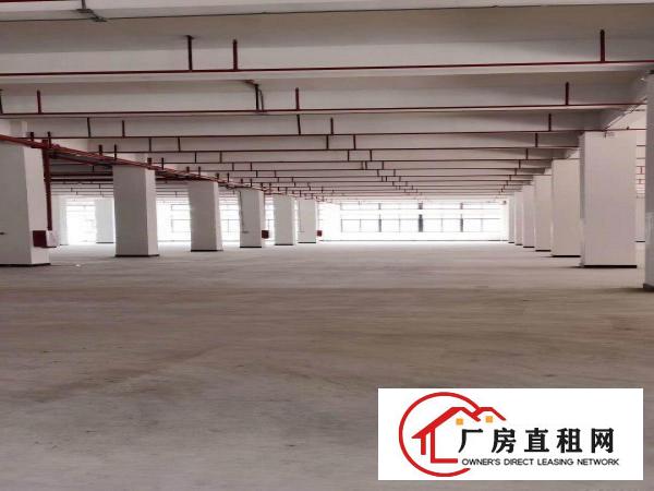  一手房东独院每层3500平米带地坪漆实际面积2部3吨电梯