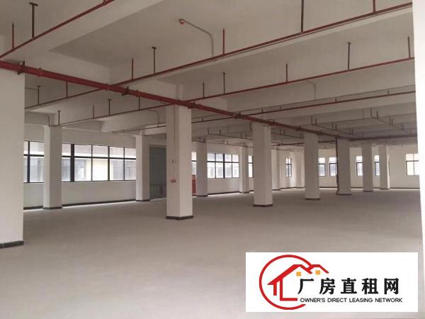  东莞茶山大型工业城原房东直租厂房靠近东部快线可办理环评