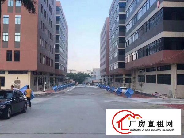  茶山原房东多栋厂房出租，面积3000一层。可分租，价格10元