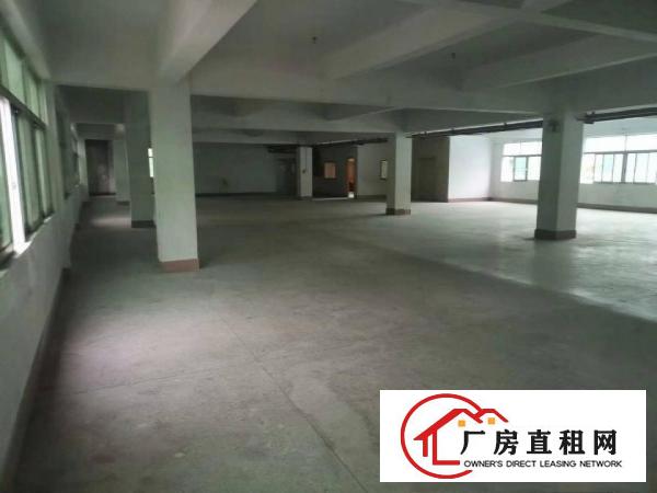  茶山原房东多栋厂房出租，面积3000一层。可分租，价格10元