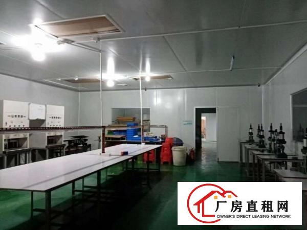 茶山出租靓厂房价格美丽不收中介费大马路旁交通便利
