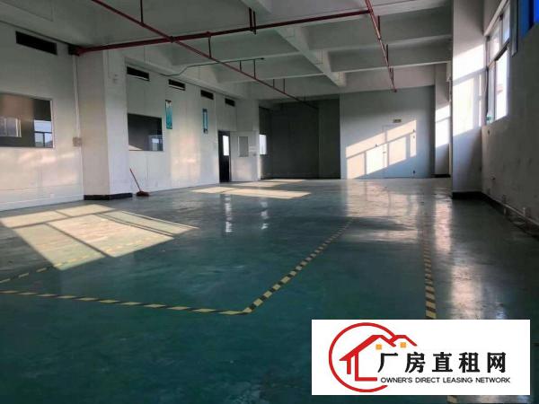  茶山出租靓厂房价格美丽不收中介费大马路旁交通便利