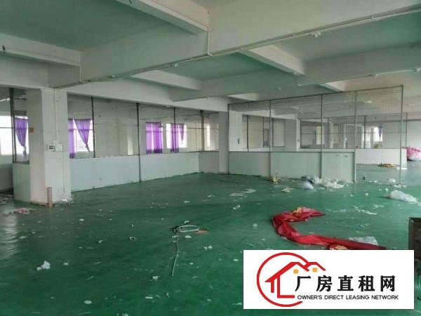  茶山出租靓厂房价格美丽不收中介费大马路旁交通便利