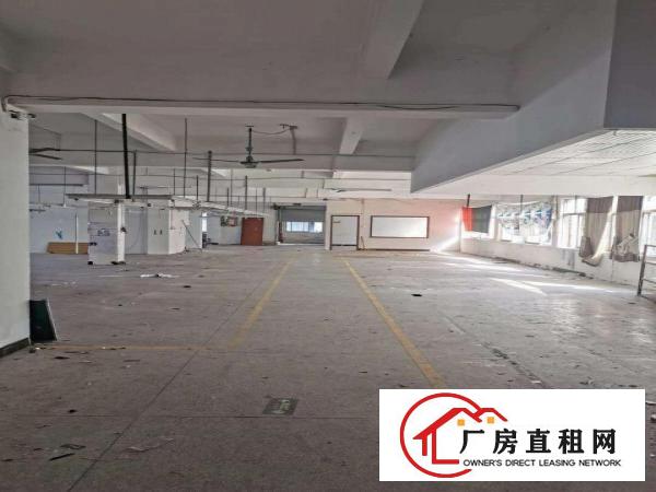  茶山出租靓厂房价格美丽不收中介费大马路旁交通便利