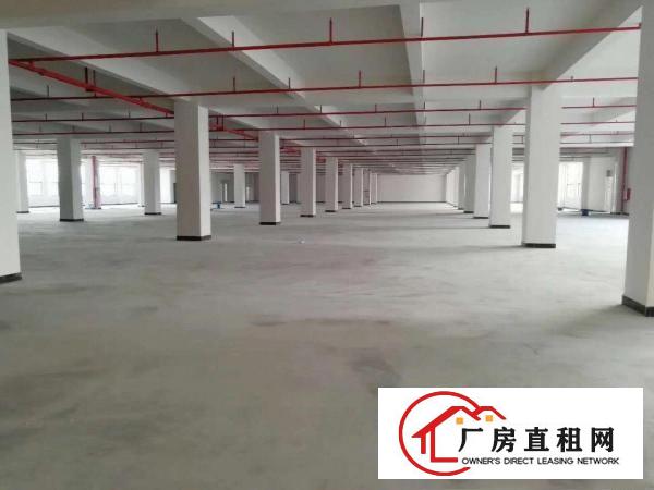  茶山镇工业区厂房招租，花园式厂房出租2700平方现成装修