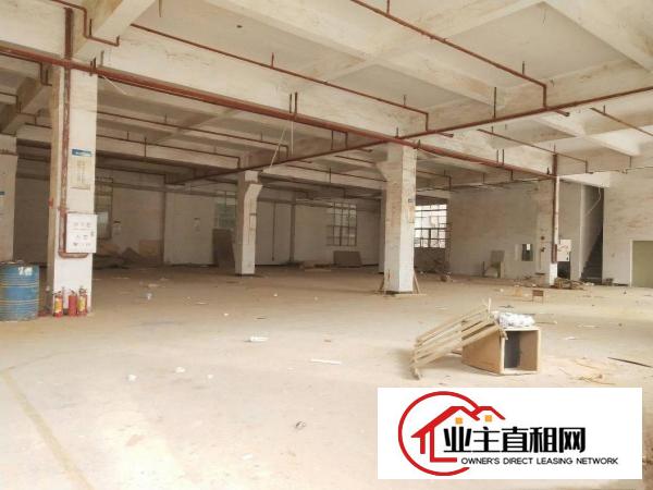  茶山工业园分租可做线路板厂房1500平方