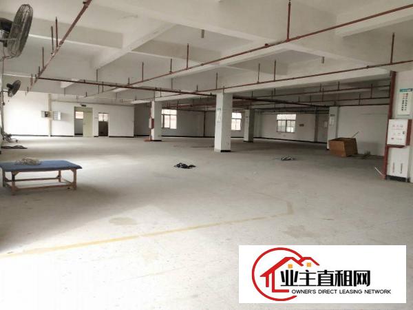  茶山工业园分租可做线路板厂房1500平方
