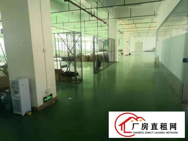  茶山镇原房东9成新3000平经典厂房