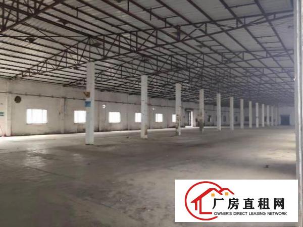 茶山镇新出原房东1100平单一层独门独院厂房