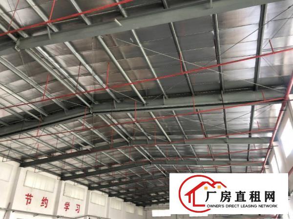  茶山寒溪水新出单一层厂房2500平，钢结构有办公室出租