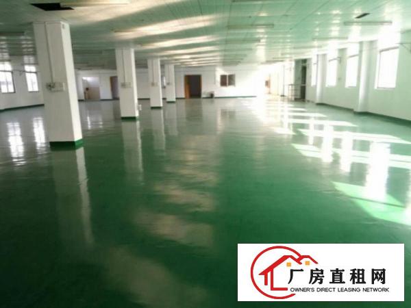  现成装修二楼标准厂房出租