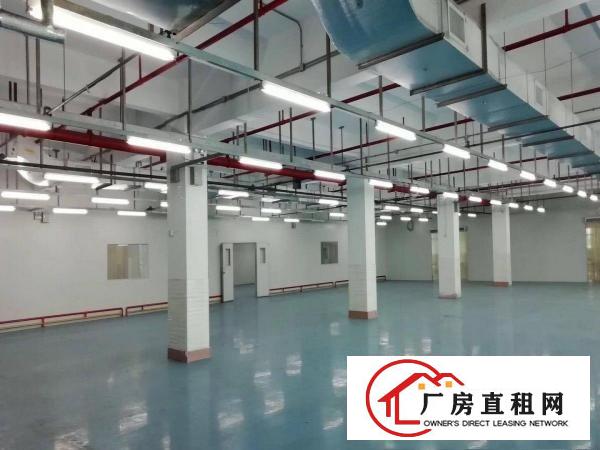  卢边独院分租二三楼每层1500平方