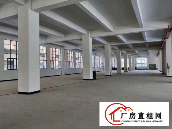  茶山塘角原房东厂房出租一楼1500方。面积实量价格15