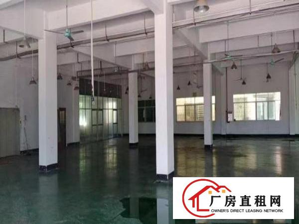  东城区一楼厂房招租2200平方现成装修可直接拎包生产