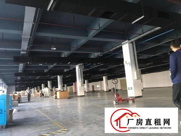  茶山工业园区原房东独院厂房出租总面积21000平方，空地大