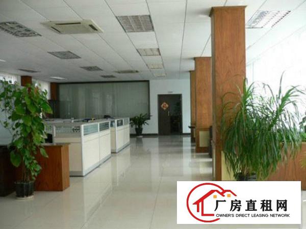  茶山镇新出二层独院厂房总面积2900平方出租