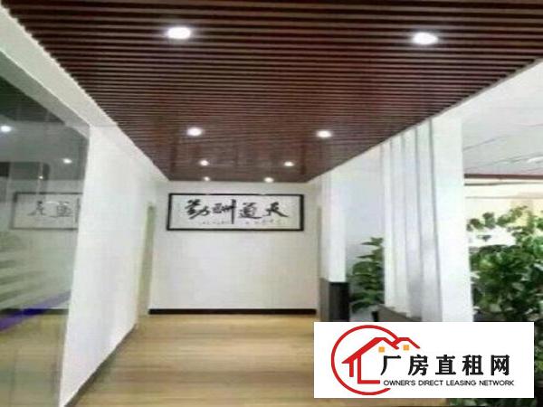  茶山镇新出二层独院厂房总面积2900平方出租