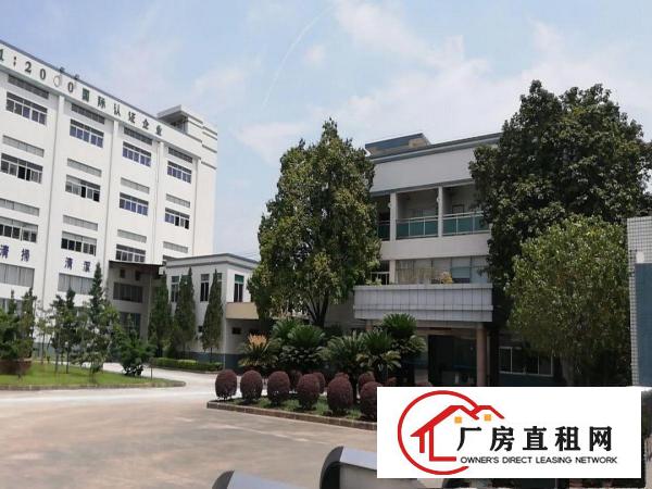  新茶山原房东花园标准厂房出租独立办公楼一楼7米高500无居民