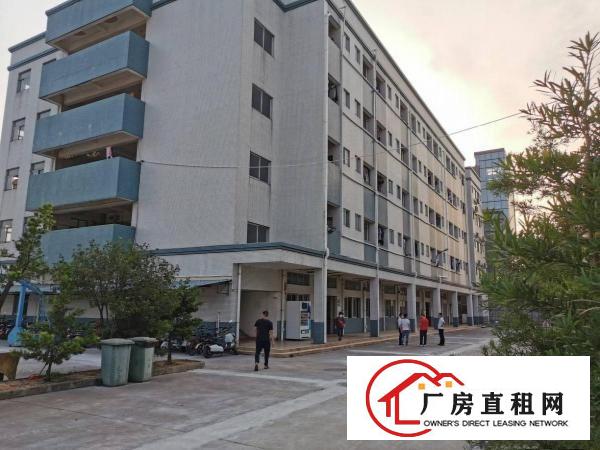  新茶山原房东花园标准厂房出租独立办公楼一楼7米高500无居民