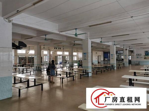  新茶山原房东花园标准厂房出租独立办公楼一楼7米高500无居民