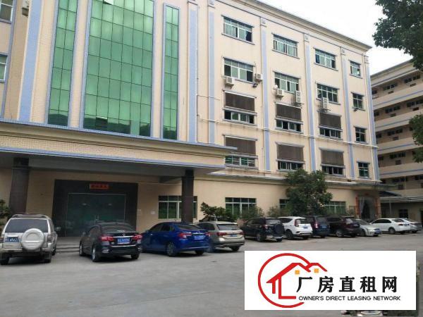  茶山花园式工业厂房新出二楼整层2250平方豪华办公室