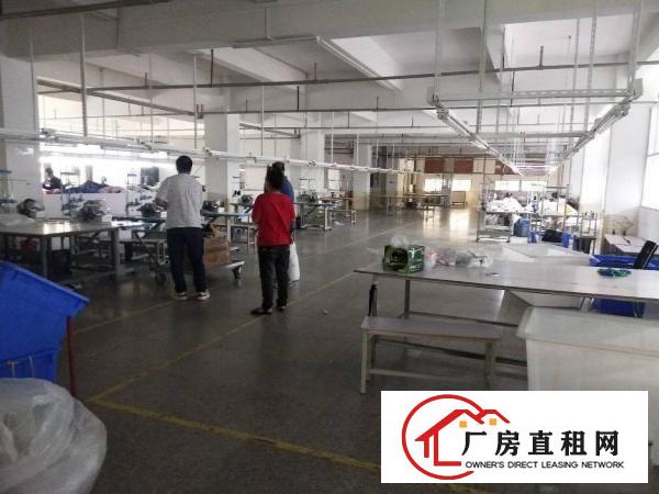  茶山花园式工业厂房新出二楼整层2250平方豪华办公室