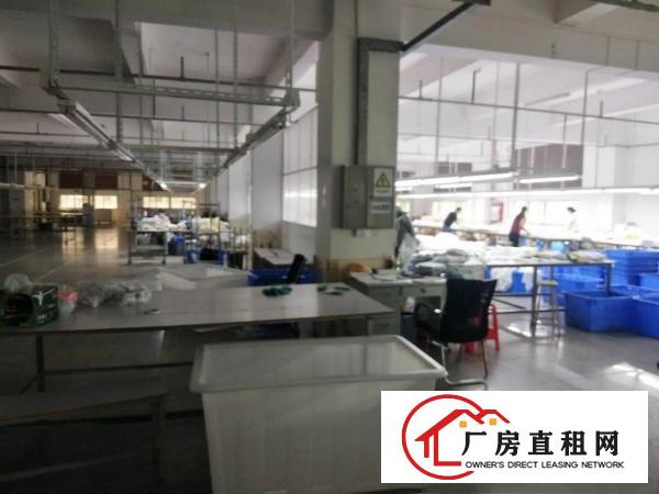  茶山花园式工业厂房新出二楼整层2250平方豪华办公室