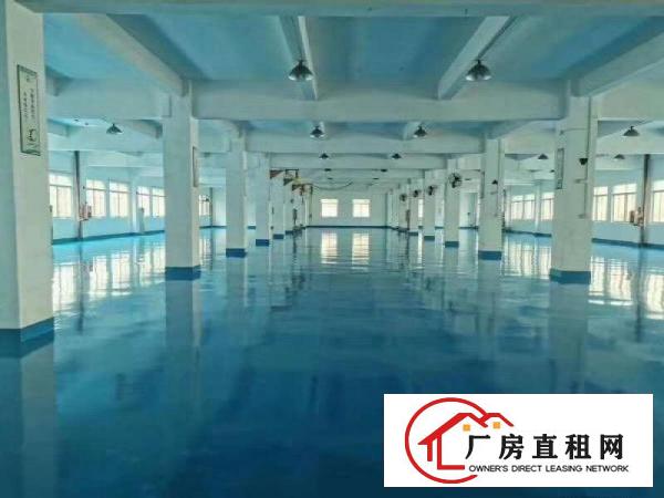  茶山原房东分租厂房一楼2500方无尘车间，可做口罩。17块