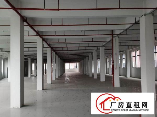  无尘车间，每层4000平米可分租实量面积低价招租