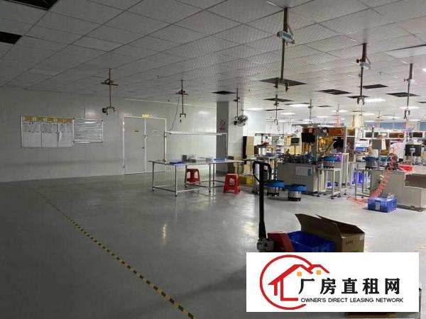  即将空出独院4层8000平米宿舍2000平米地面带地坪漆