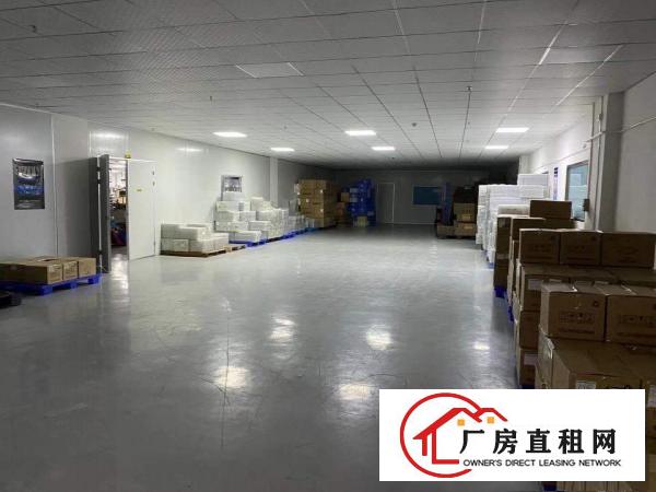  即将空出独院4层8000平米宿舍2000平米地面带地坪漆