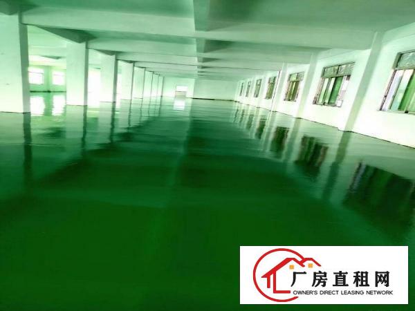  茶山周边无尘车间1500平方招租全新地坪漆