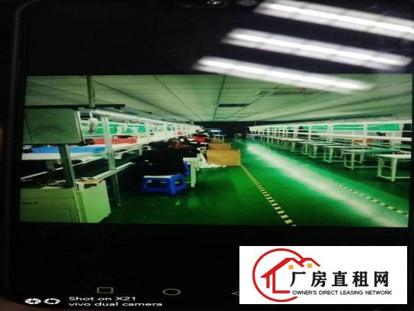  茶山周边无尘车间1500平方招租全新地坪漆