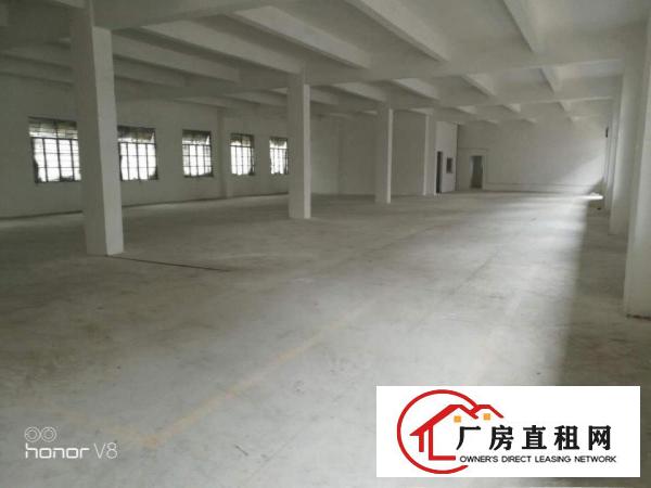  出租石排镇石排城区二、三楼厂房出租