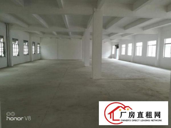  出租石排镇石排城区二、三楼厂房出租