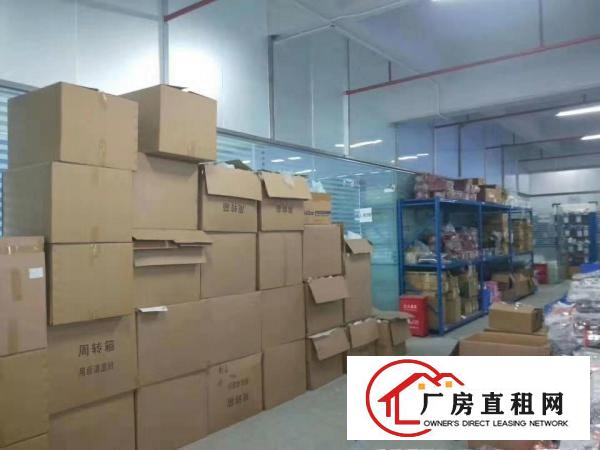  出租石排镇石排城区自己的房子价格便宜