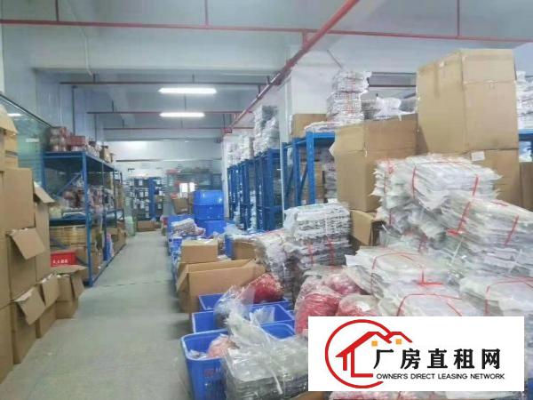  出租石排镇石排城区自己的房子价格便宜