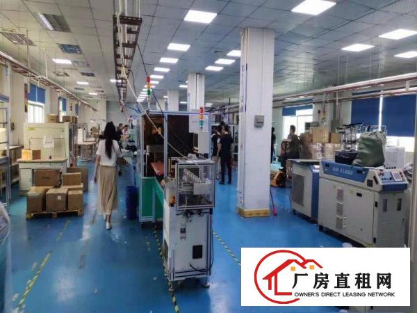  出租石排镇石排城区自己的房子价格便宜